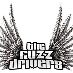 logo The Fuzz Drivers
